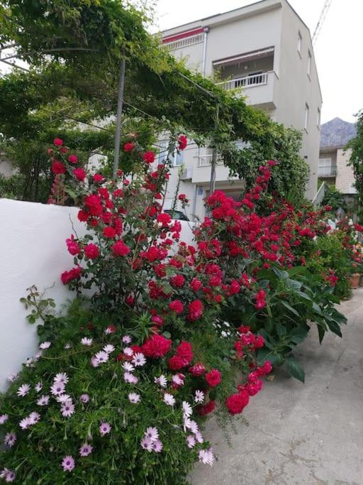 Jacky Apartment / Sea View ماكارسكا المظهر الخارجي الصورة